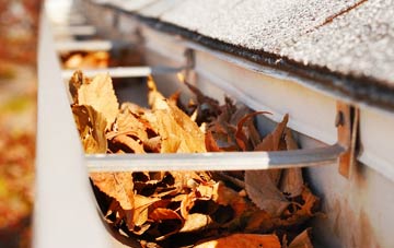 Whitewall Common gutter cleaning companies