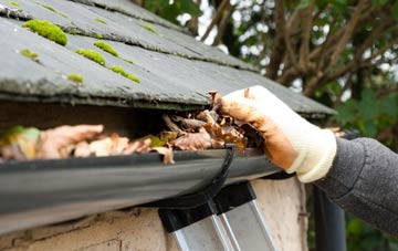 gutter cleaning Whitewall Common, Monmouthshire
