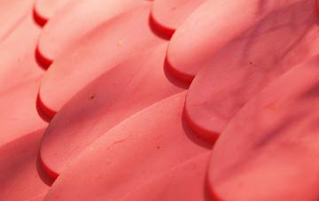 Whitewall Common plastic roof costs