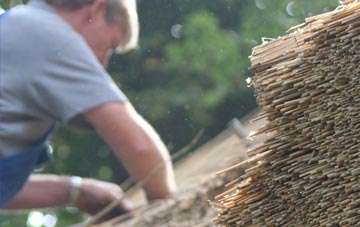 professional Whitewall Common thatchers