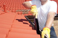 Whitewall Common roof cleaners