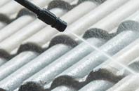 rated Whitewall Common roof cleaning companies