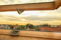 rated Whitewall Common roof window companies