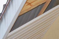 rated Whitewall Common soffit repair companies